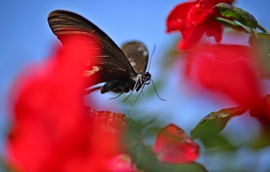 �������벻���������������ߡ�