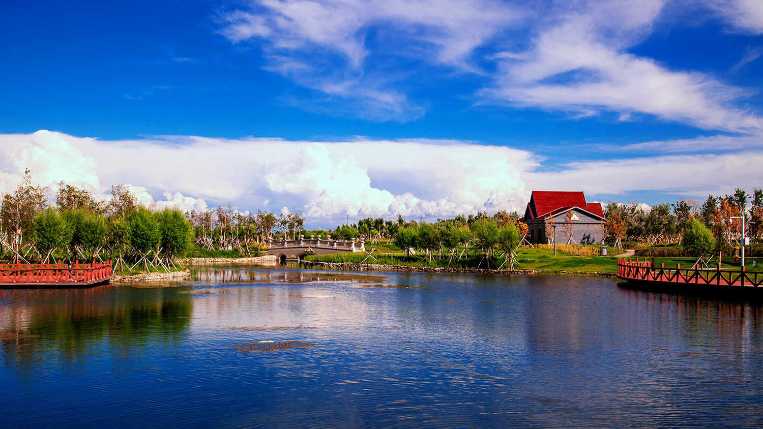 ������� (7).jpg