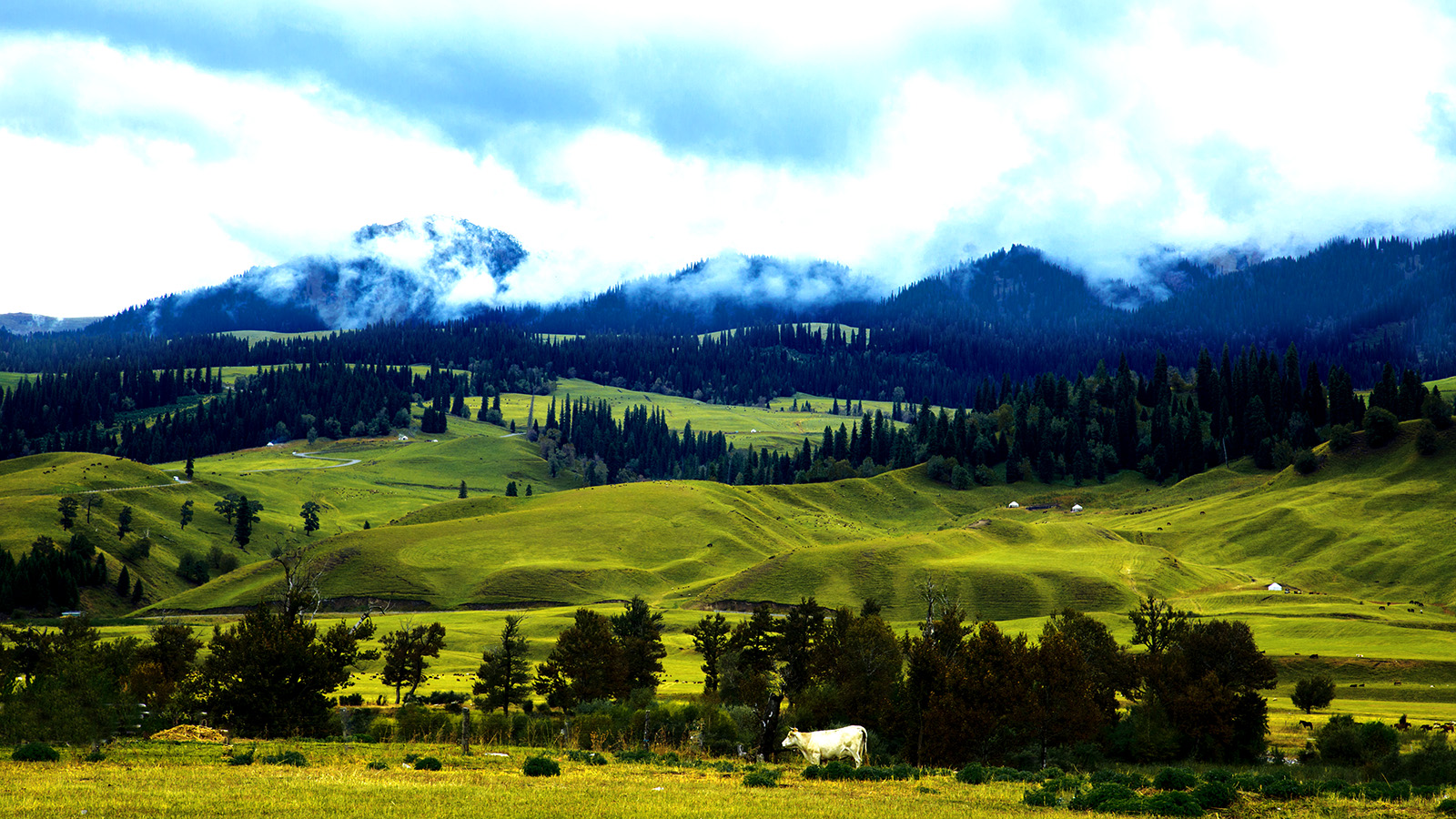 �������� (1).jpg