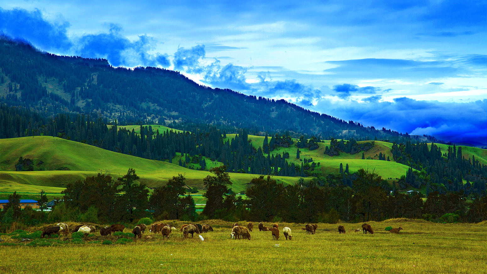 �������� (2).jpg