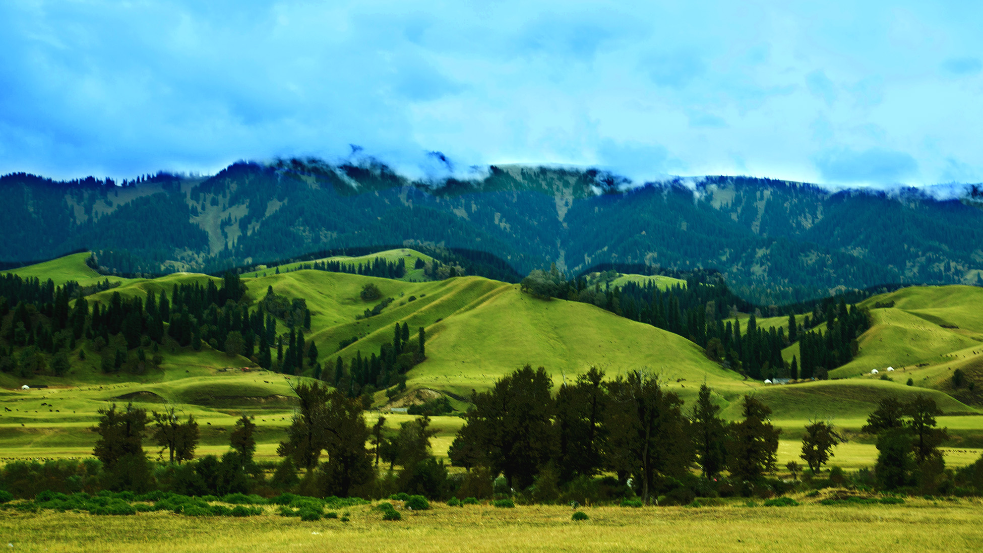 �������� (3).jpg