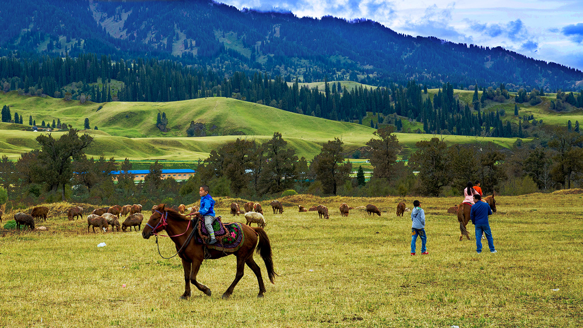 �������� (4).jpg