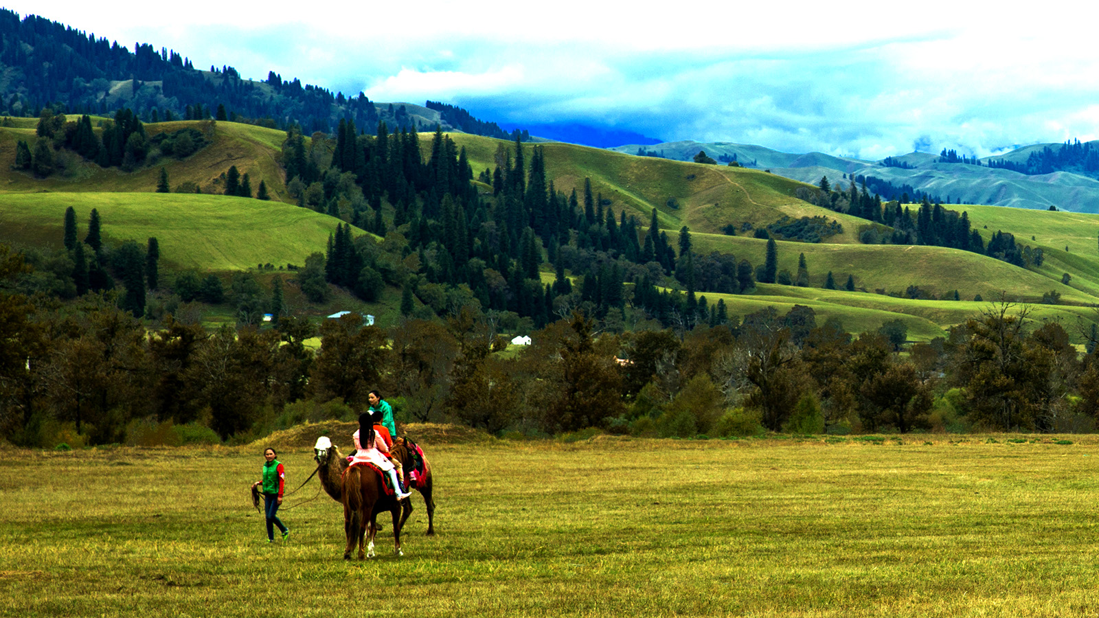 �������� (5).jpg