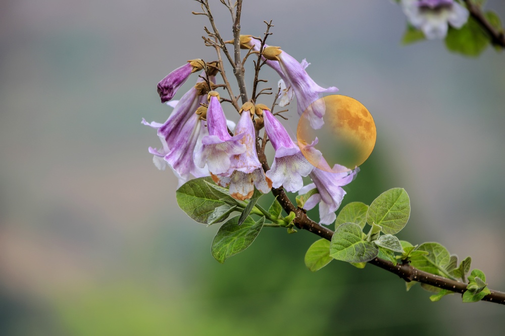 5X4A7363 ����.jpg