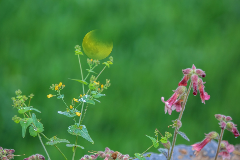 5X4A7370 ����.jpg