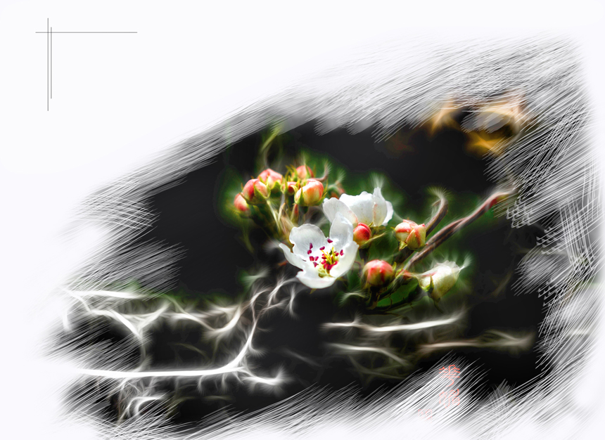 �����ġ� ����.jpg