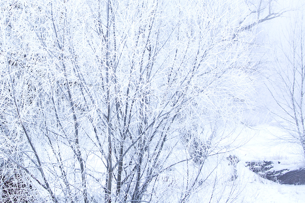 �����ڡ (3).jpg