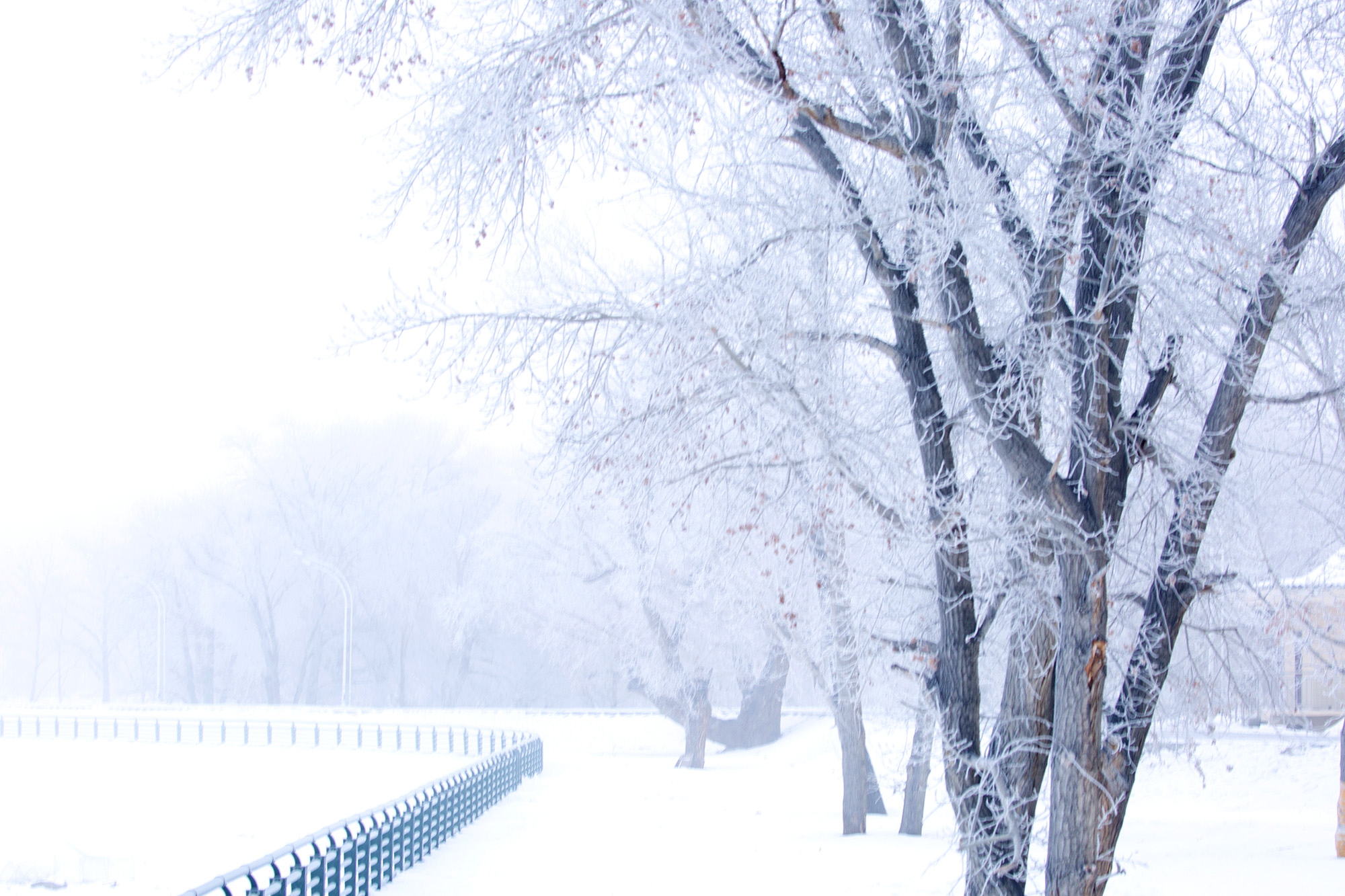 �����ڡ (4).jpg