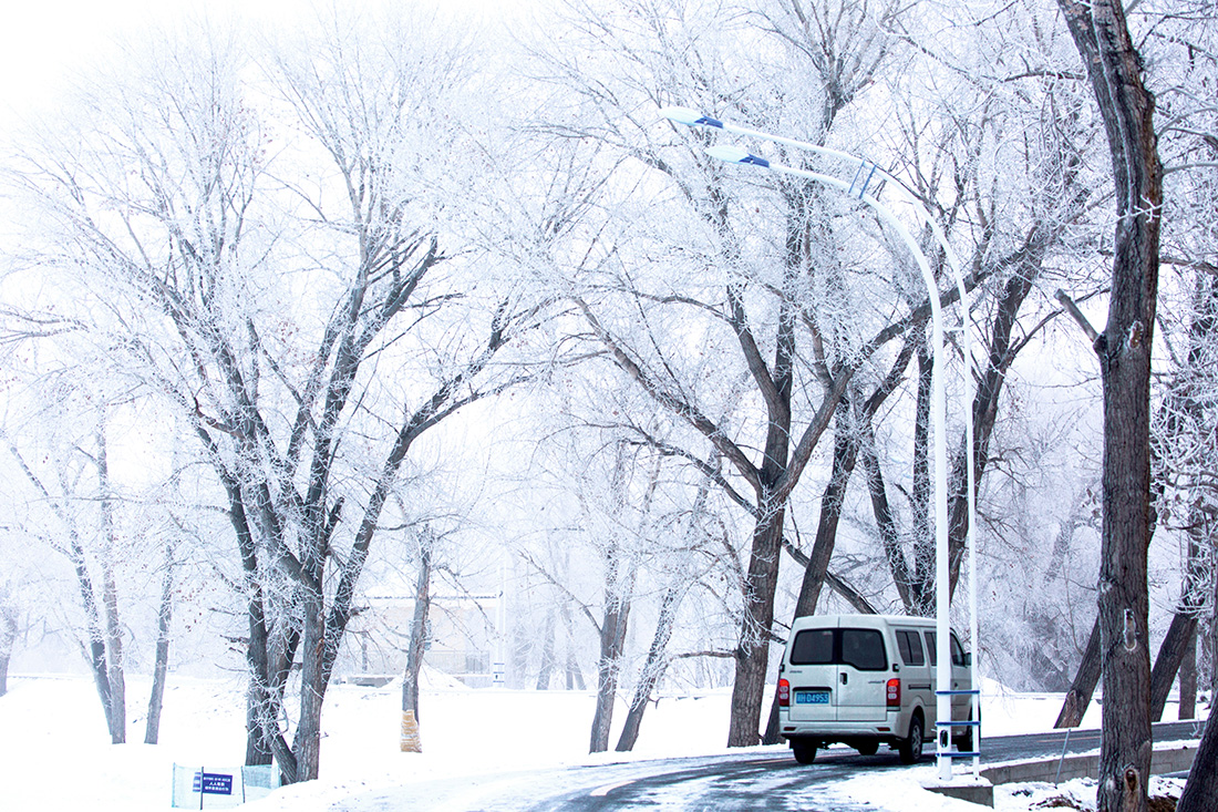 �����ڡ (5).jpg