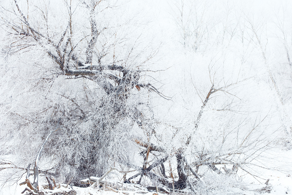 �����ڡ (9).jpg