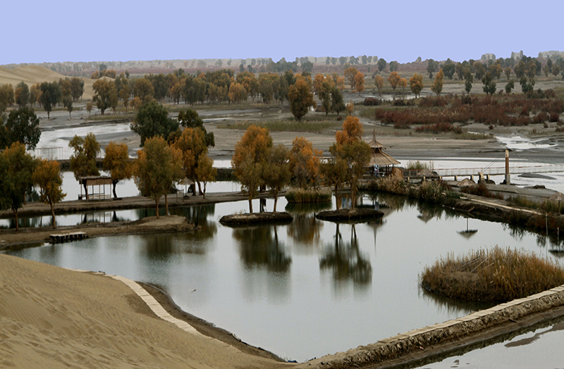 ɳĮ�����ӡ�����