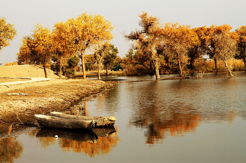 ����Сľ��