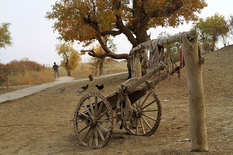 �򵥵���������