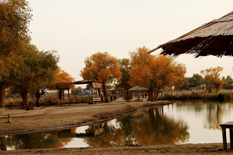 �����Ļ���