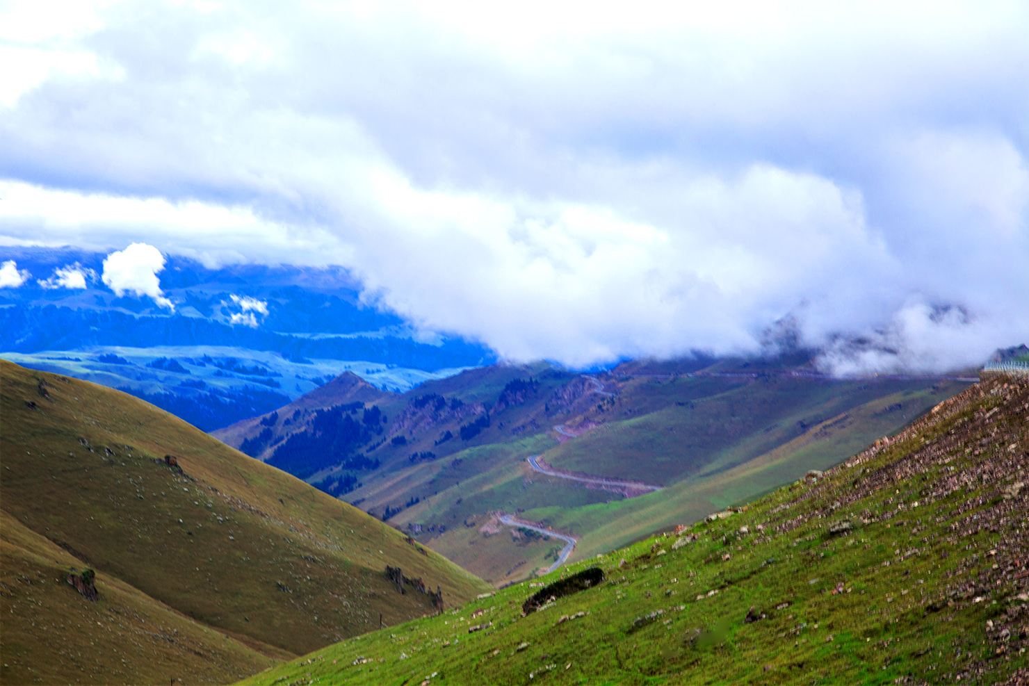 ��ɽ���� (2).jpg