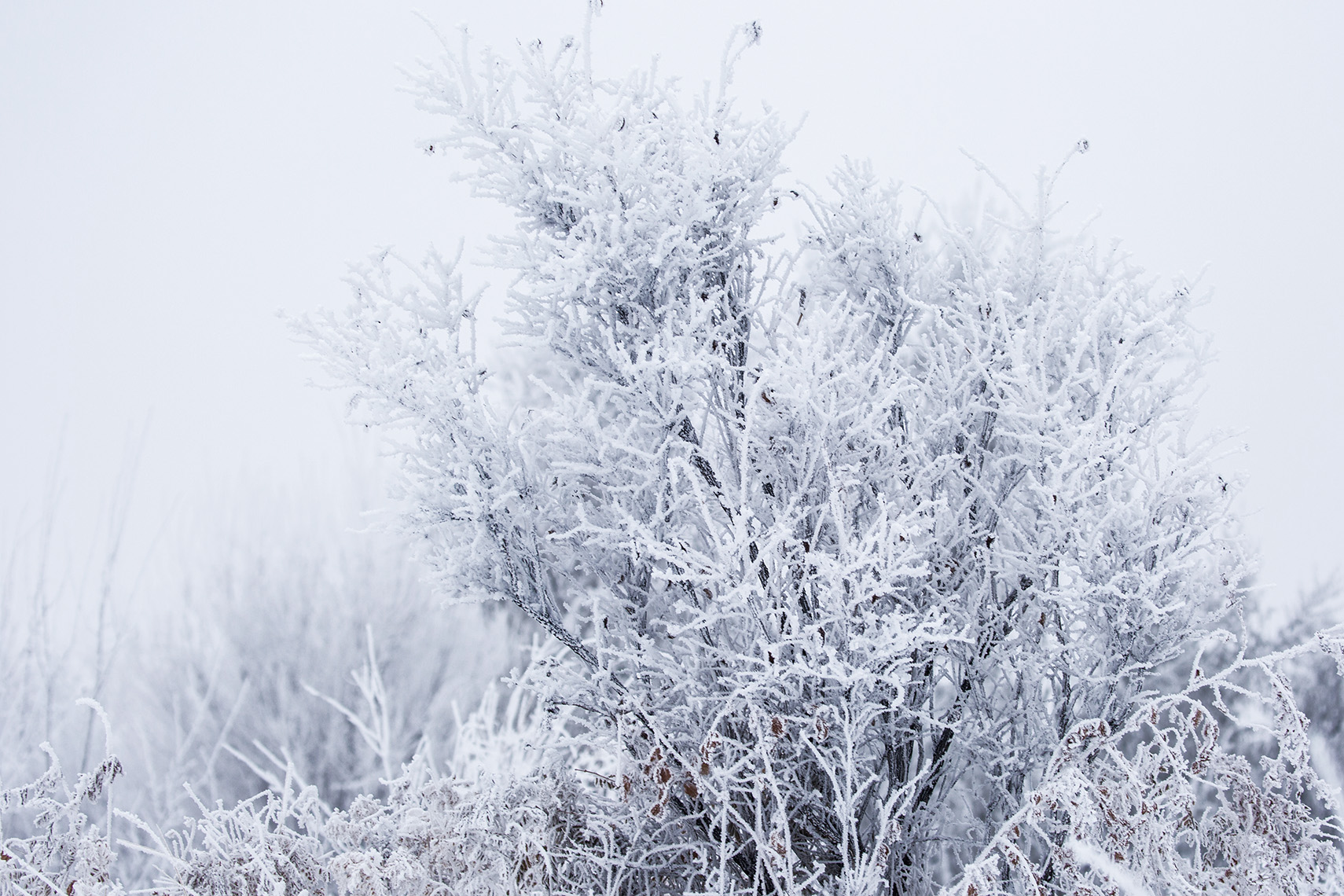 ������ڡ (5).jpg