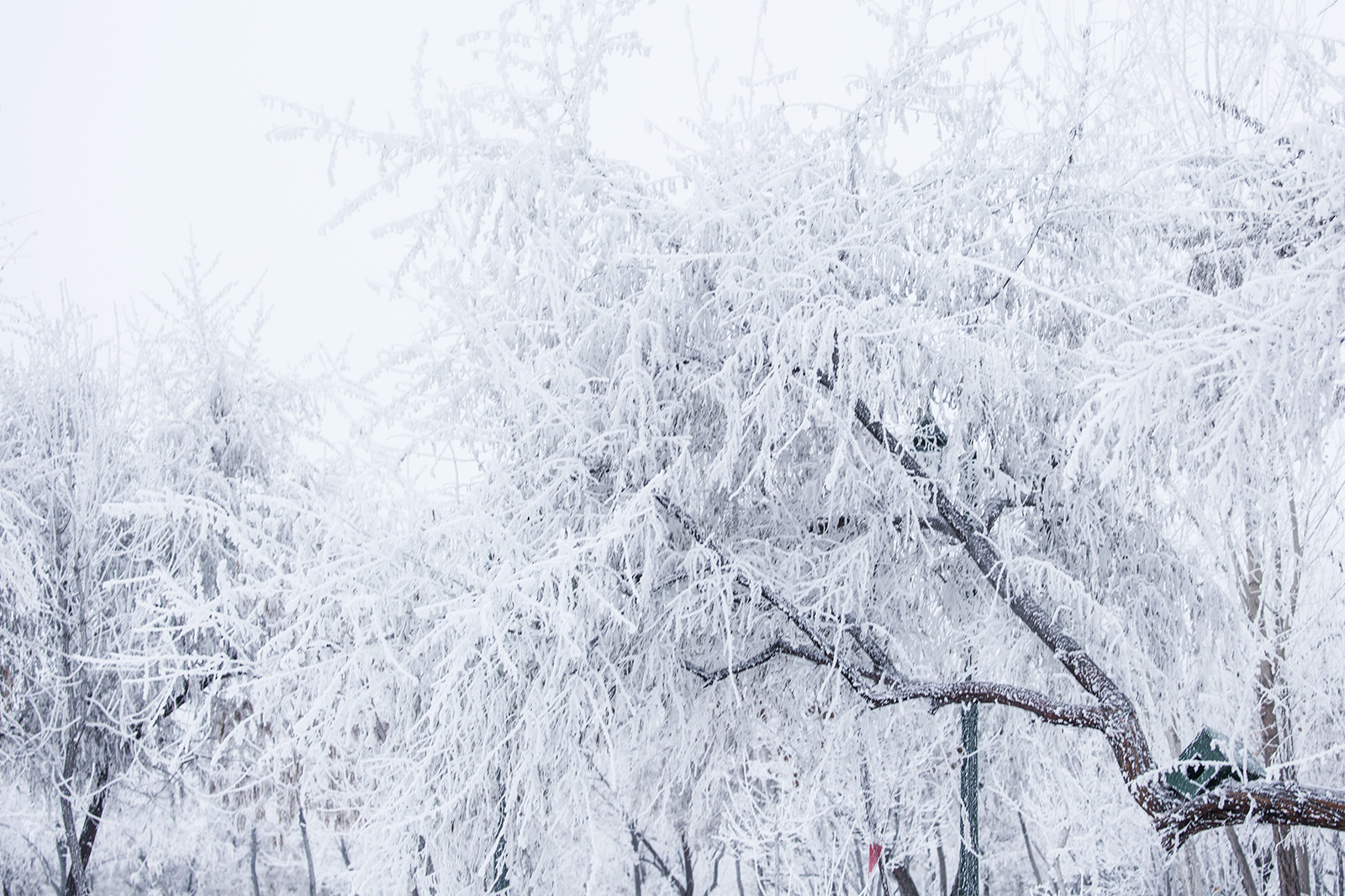 ������ڡ (7).jpg