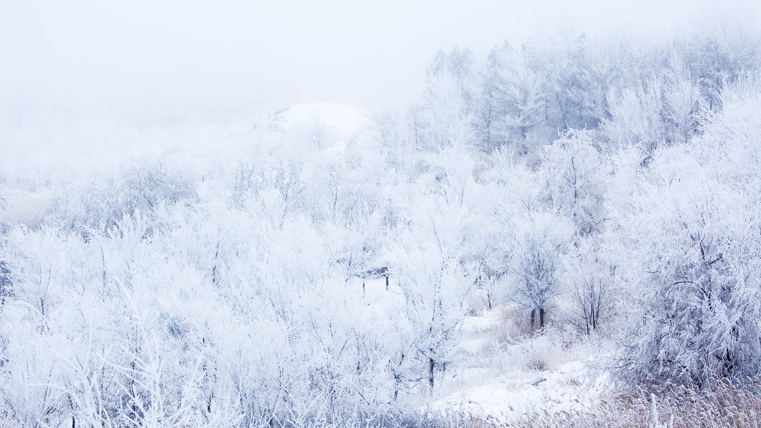 ������ڡ (9).jpg