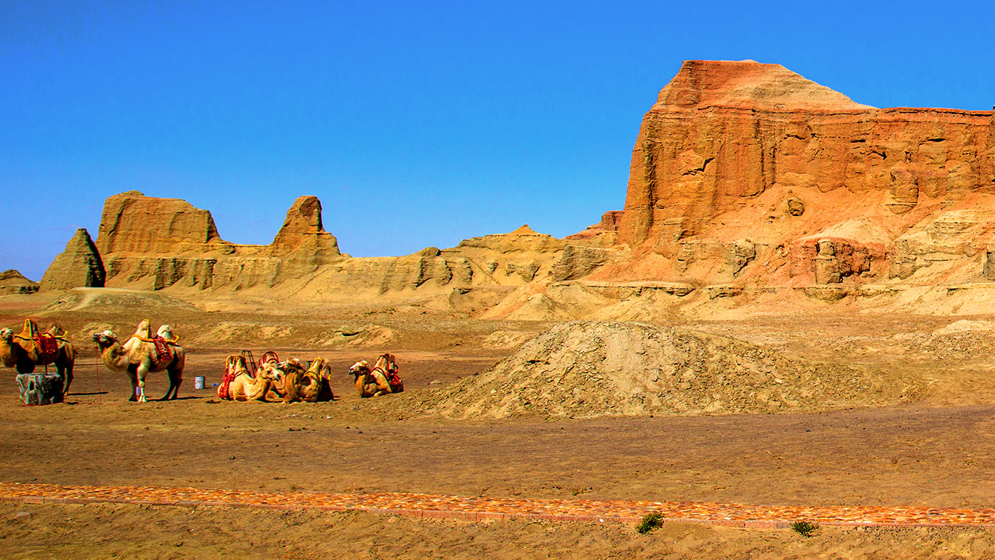 ��ħ���� (10).jpg