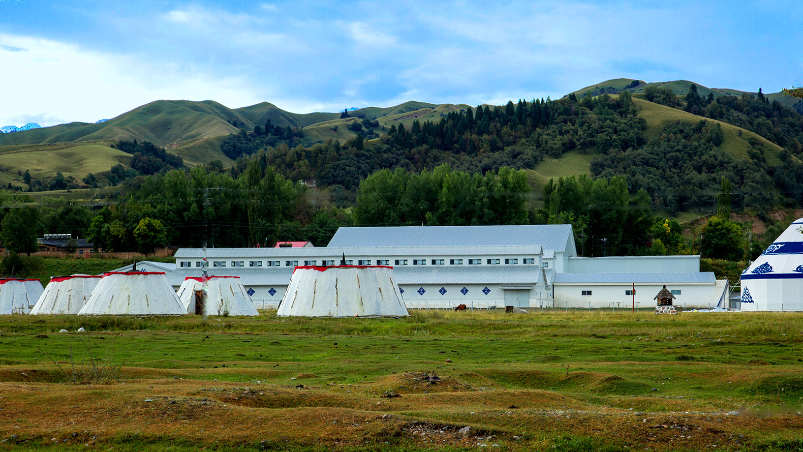 �������� (1).jpg