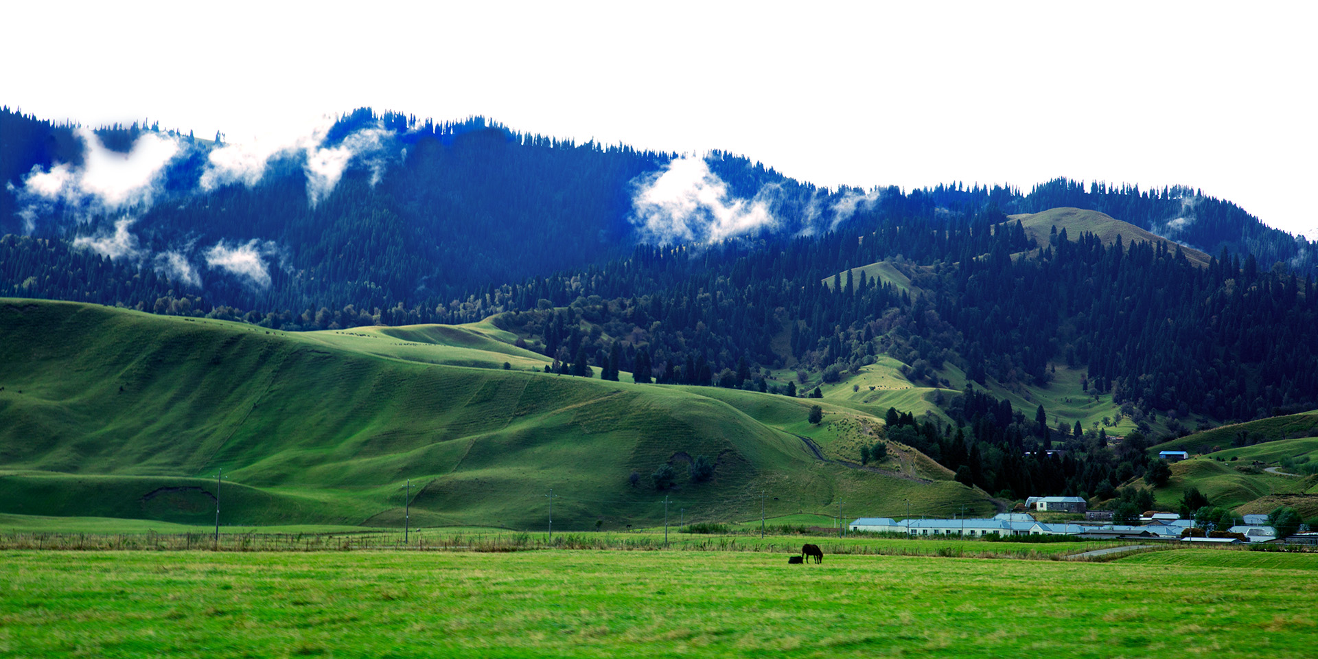 �������� (3).jpg