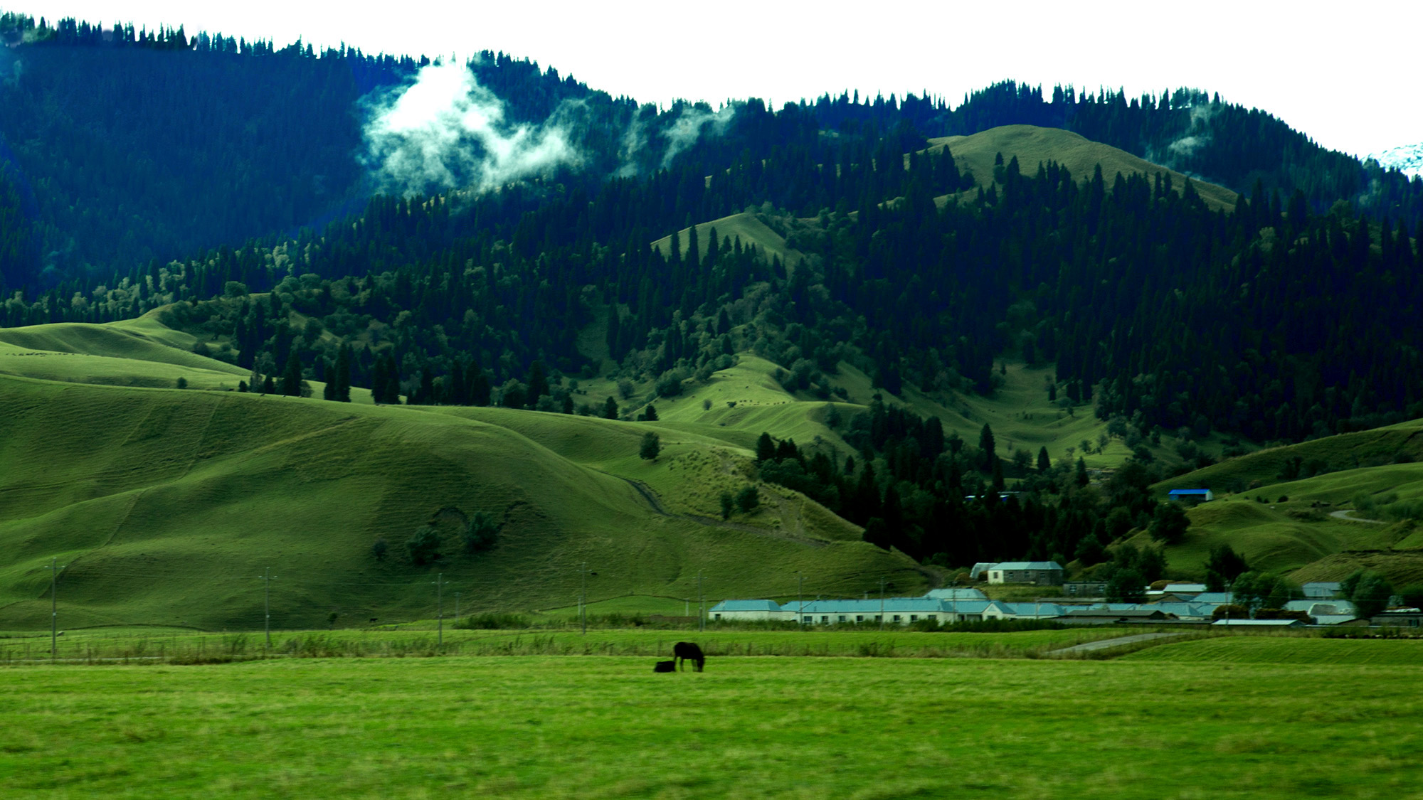 �������� (4).jpg