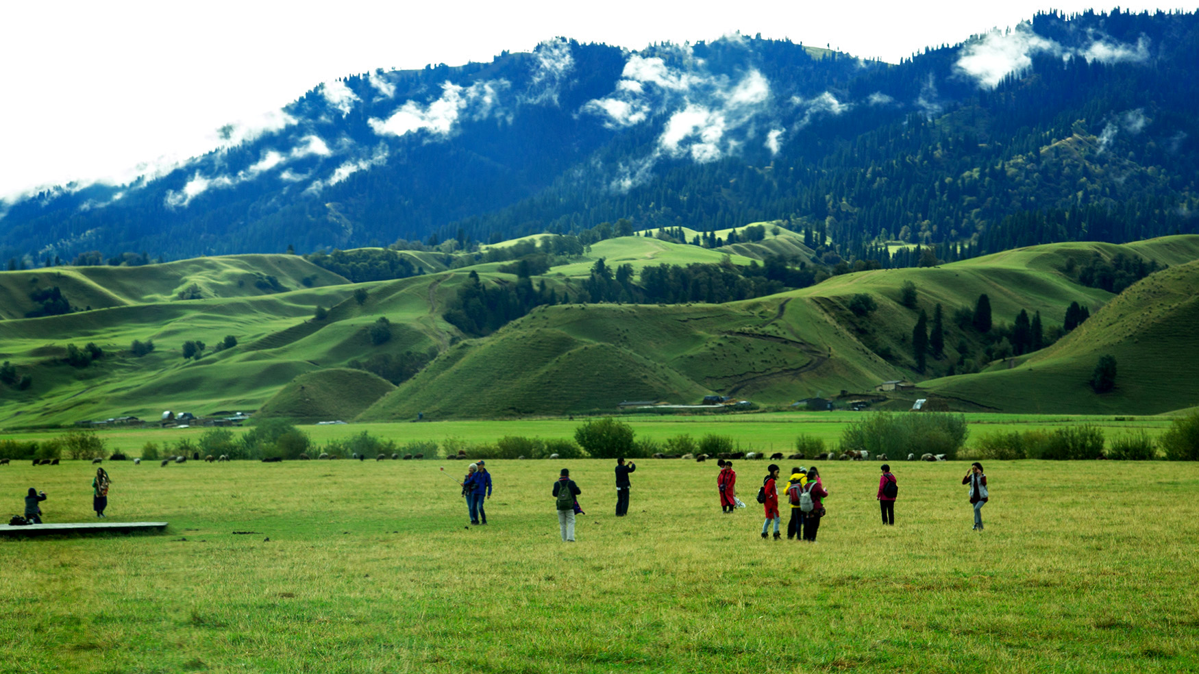 �������� (5).jpg