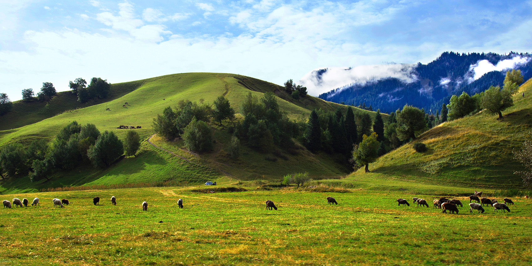 �������� (6).jpg