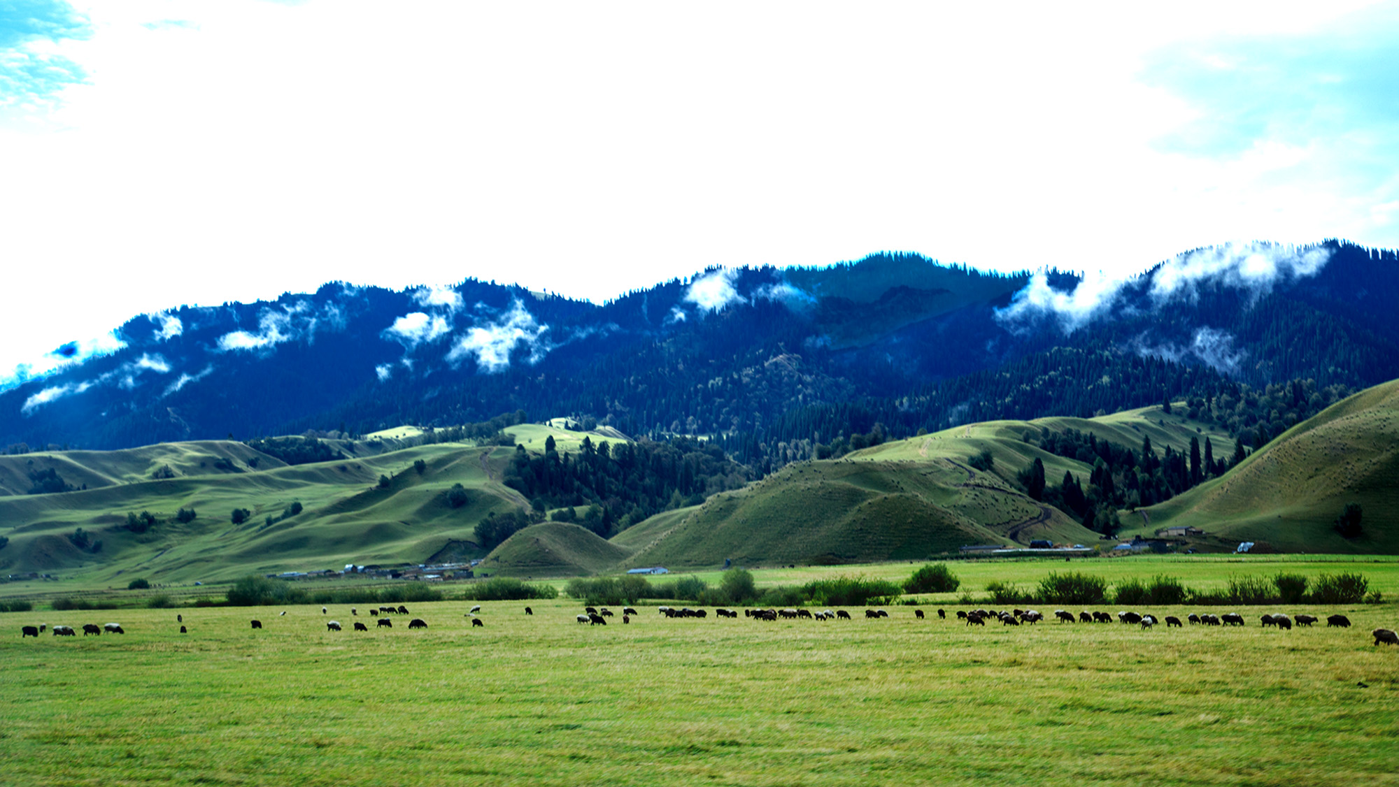 �������� (2).jpg