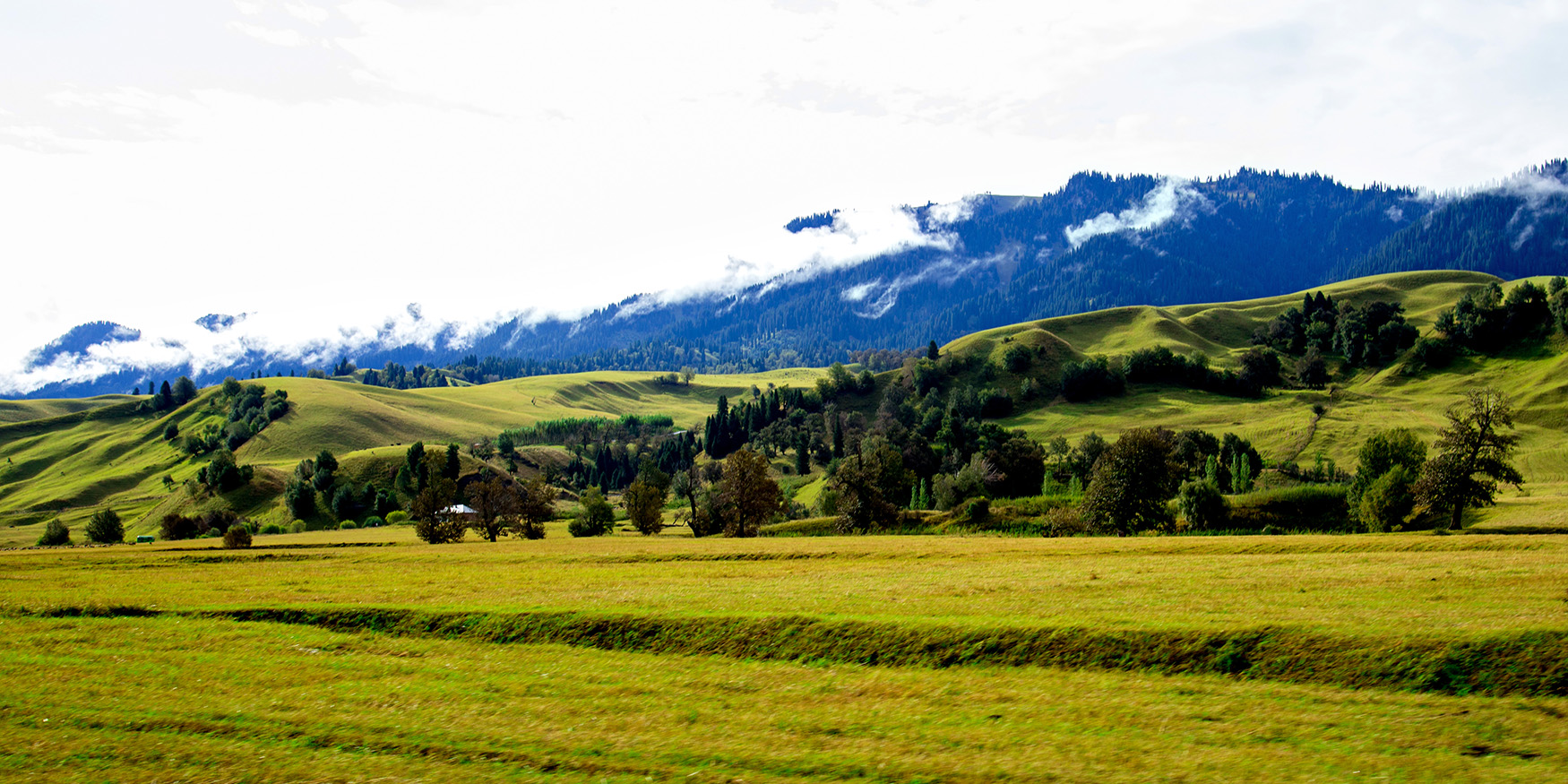 �������� (3).jpg