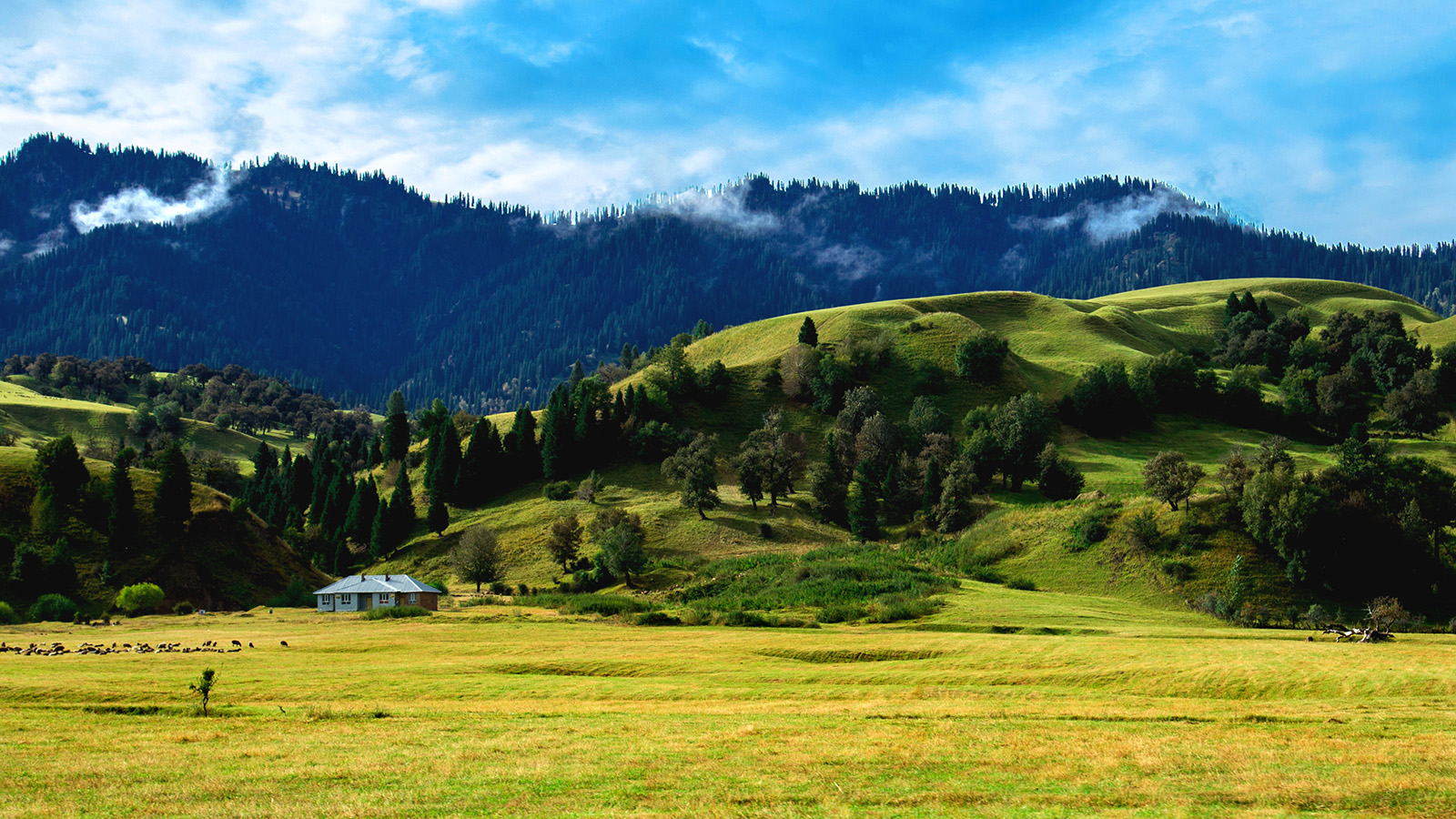 �������� (4).jpg