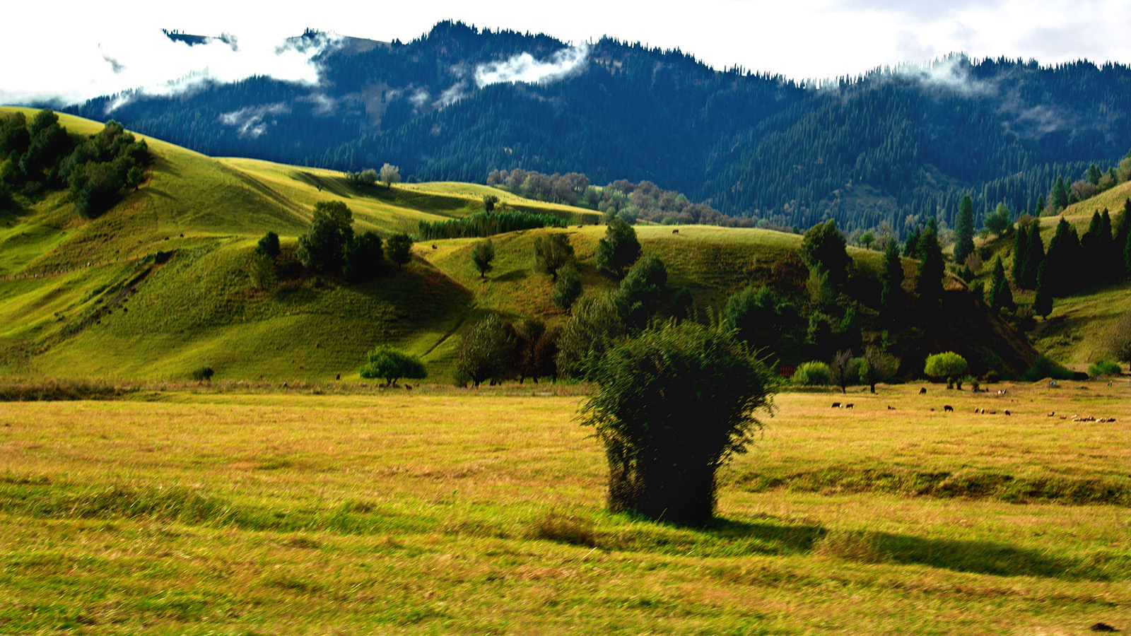 �������� (5).jpg