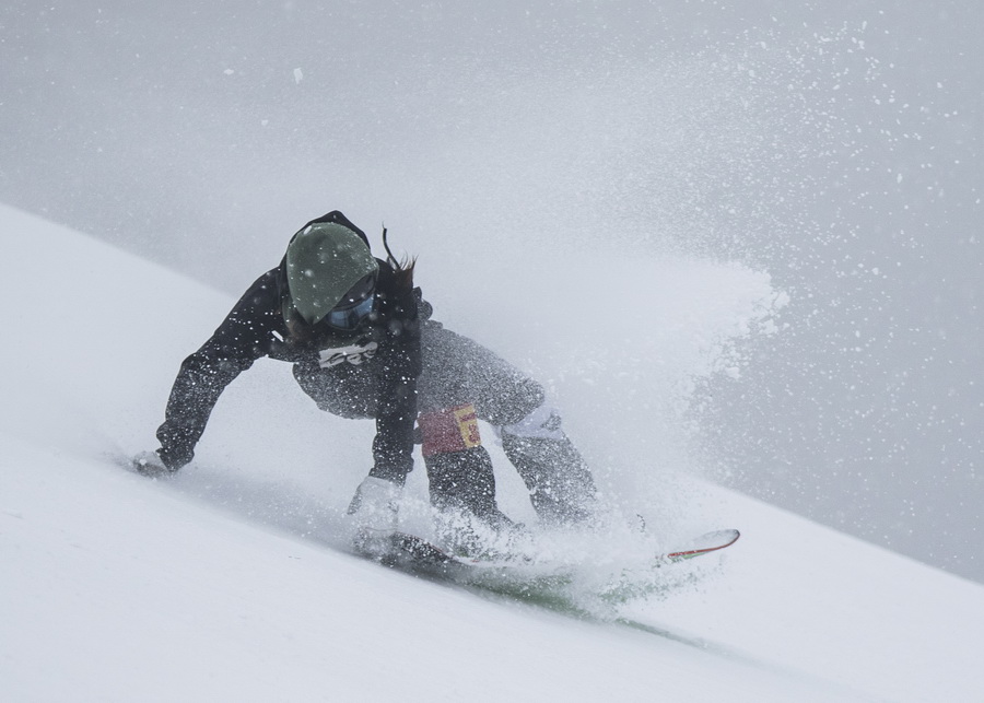 _L6A1417 - ����.jpg