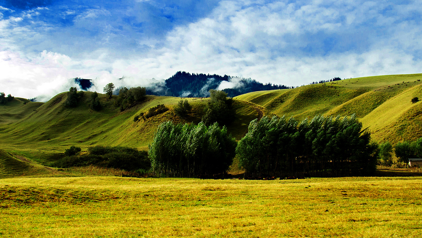 �������� (1).jpg