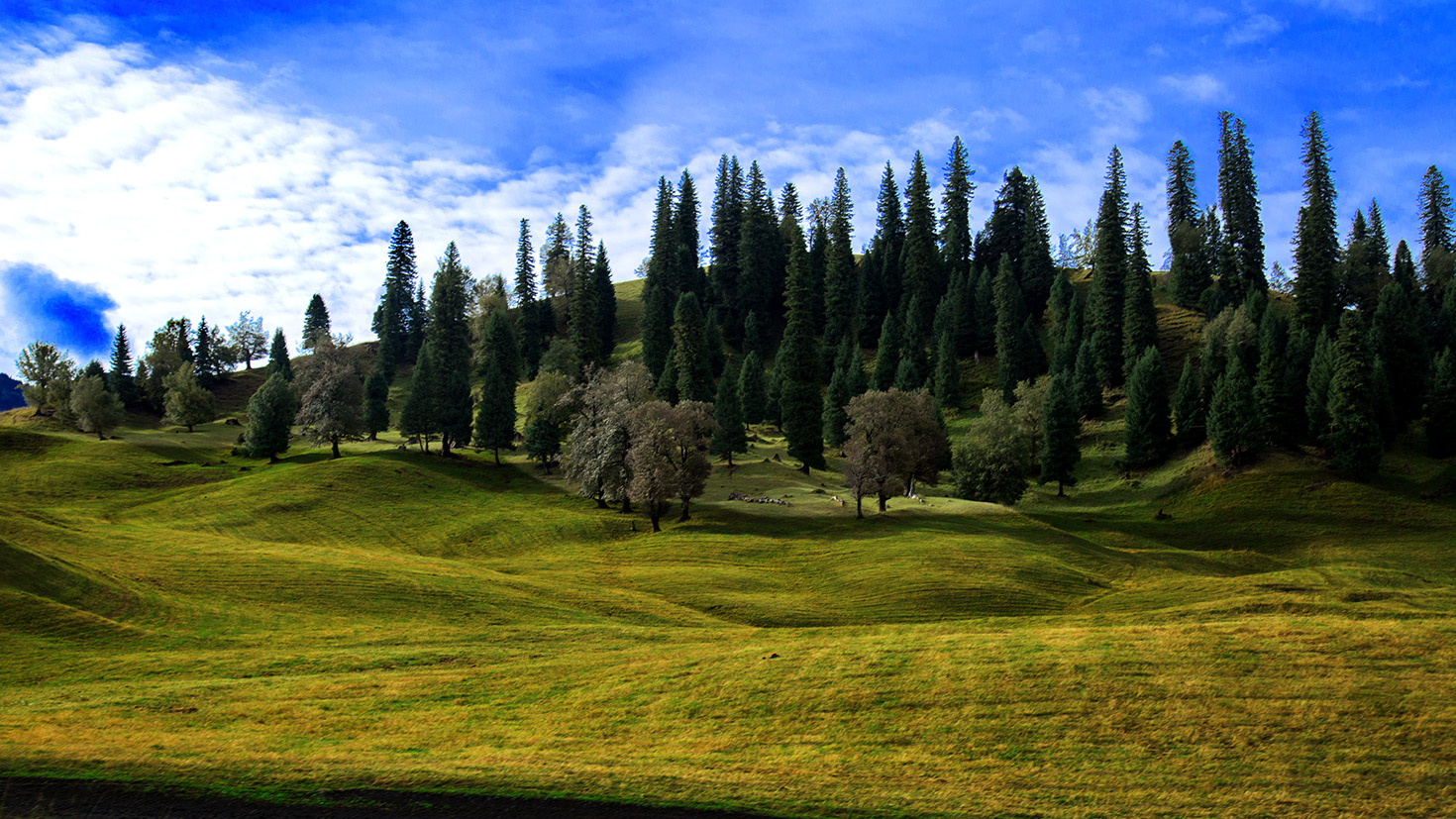 �������� (4).jpg