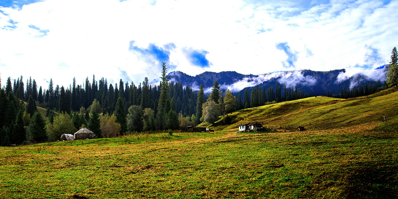 �������� (5).jpg