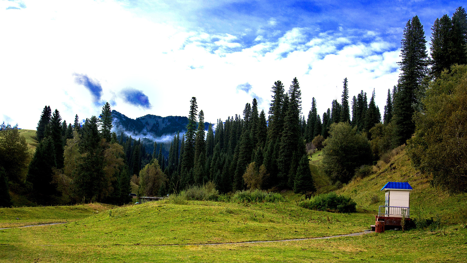 �������� (6).jpg