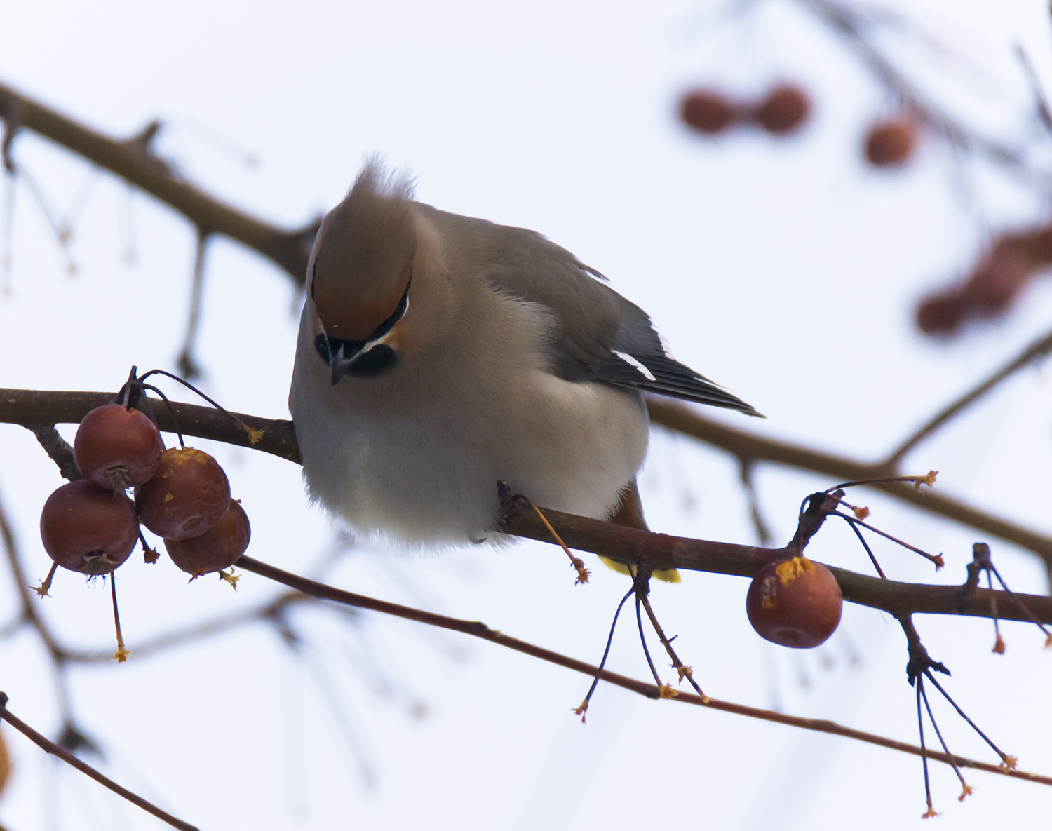 �ĿŸ���Щ��