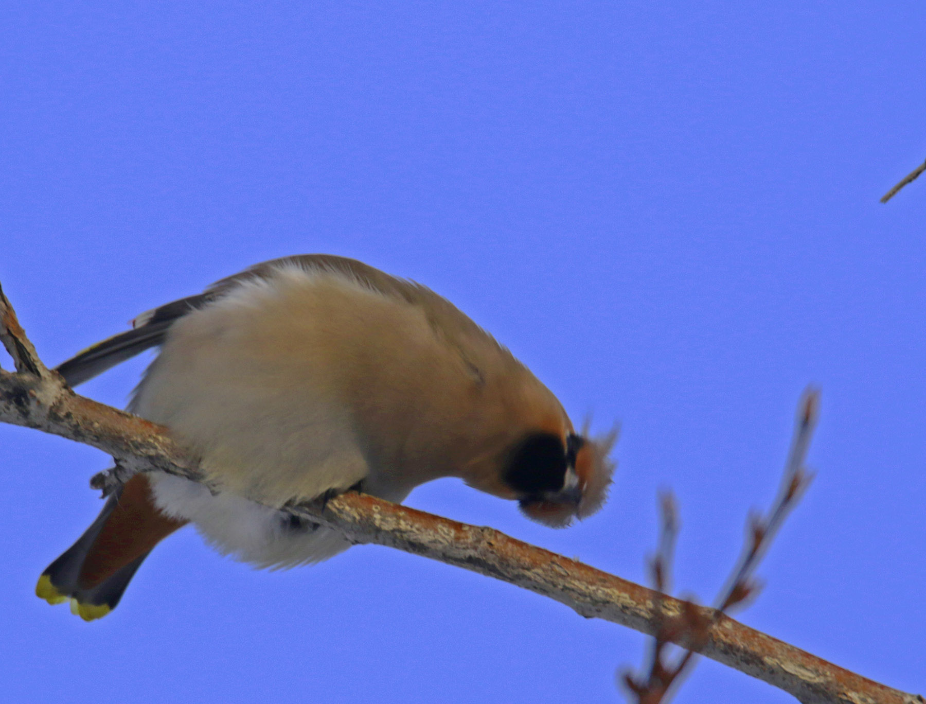 �������������