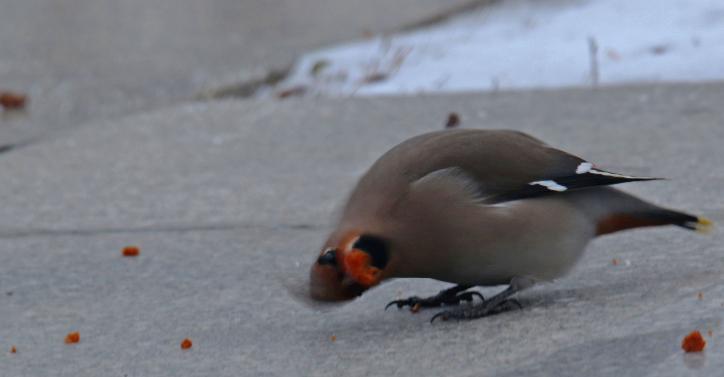 ����������