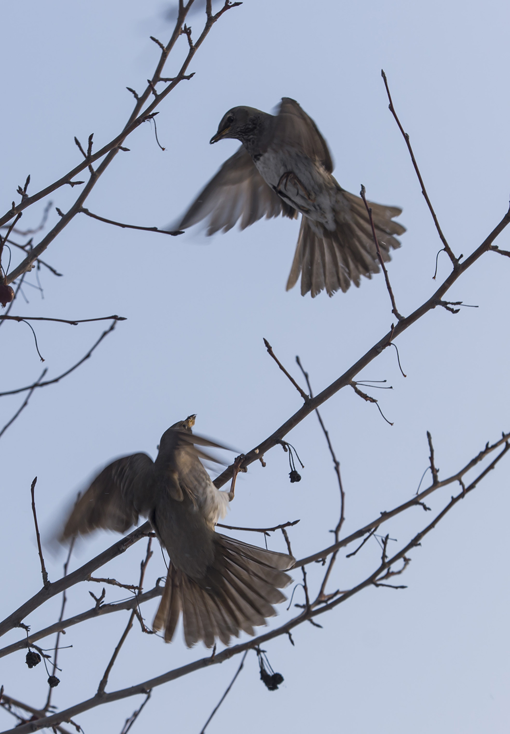 ����֮����ʱ�ݣ�