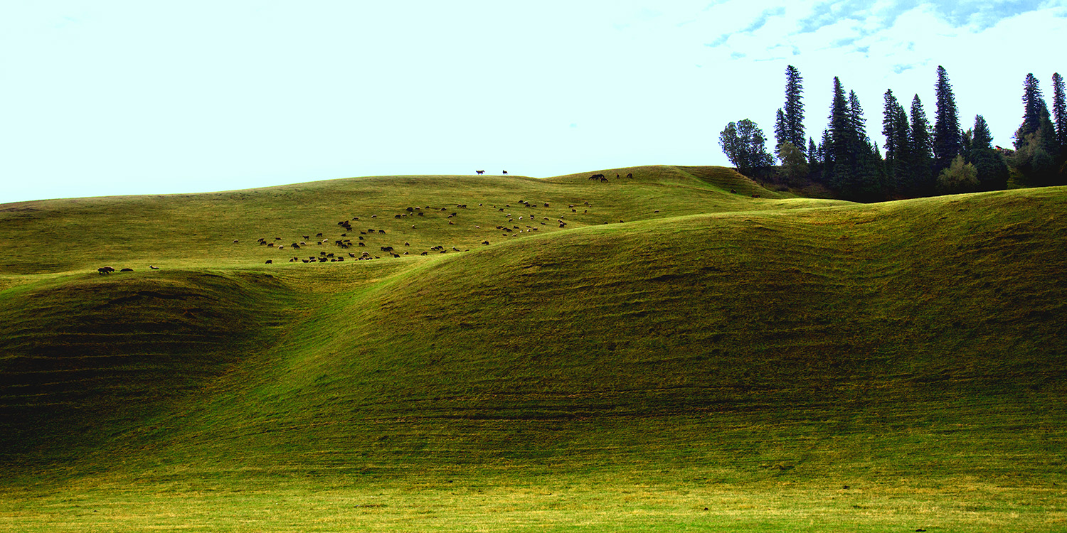 �������� (1).jpg