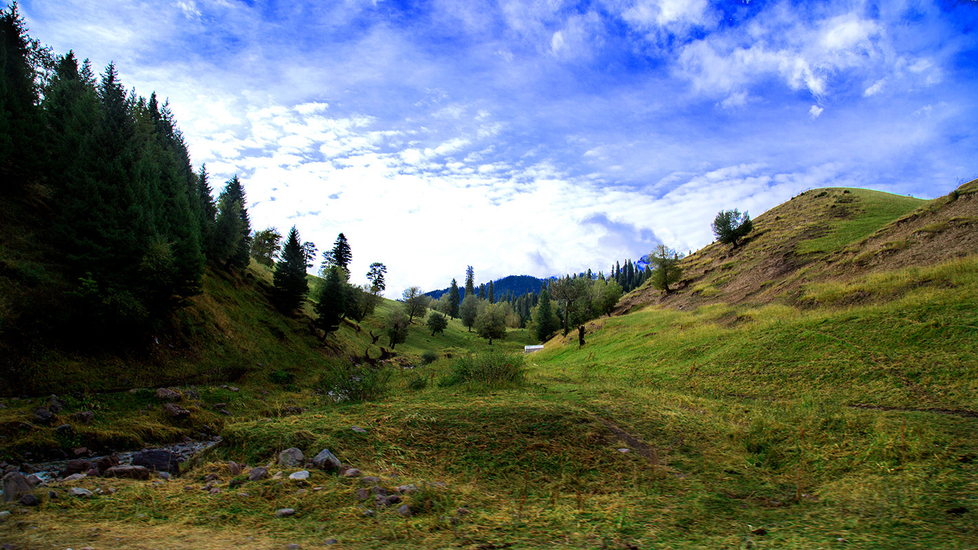 �������� (2).jpg