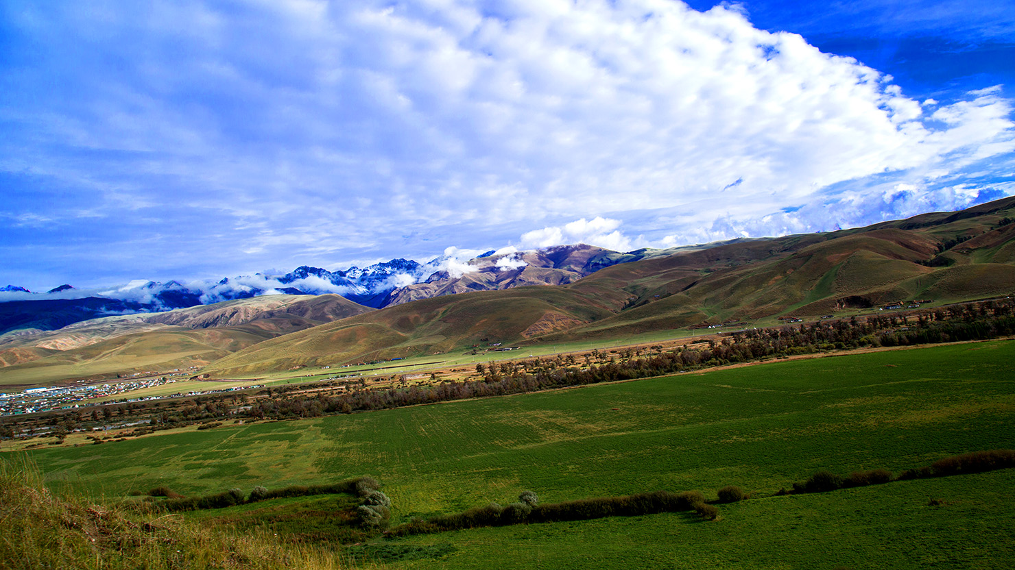 �������� (6).jpg