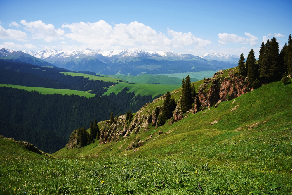 ��������ȥ 325_����.jpg