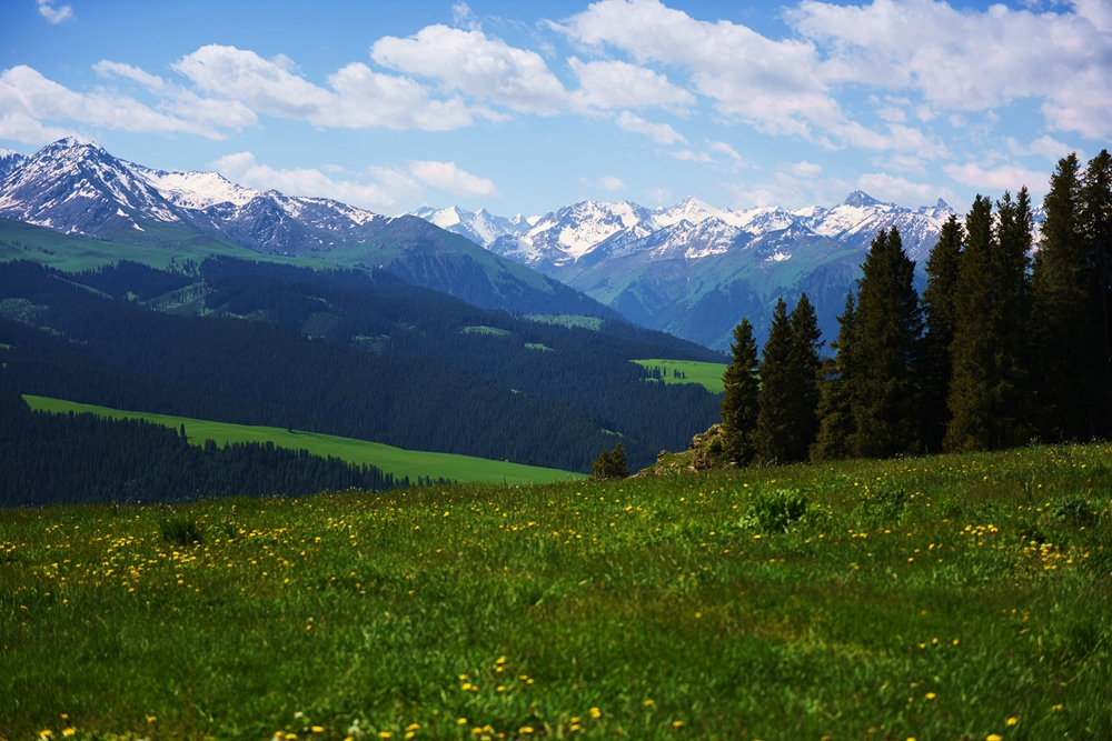 ��������ȥ 232_����.jpg