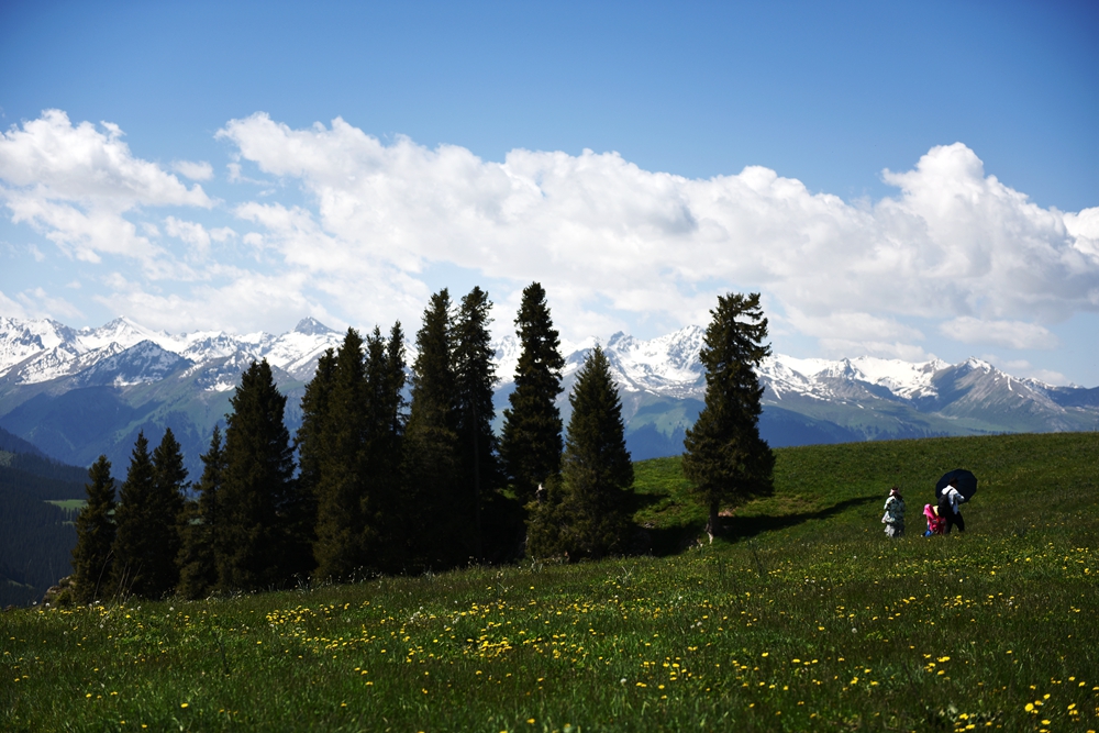 ��������ȥ 282_����.jpg