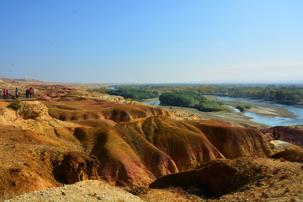 ��ľ���̲ 1421_����.jpg