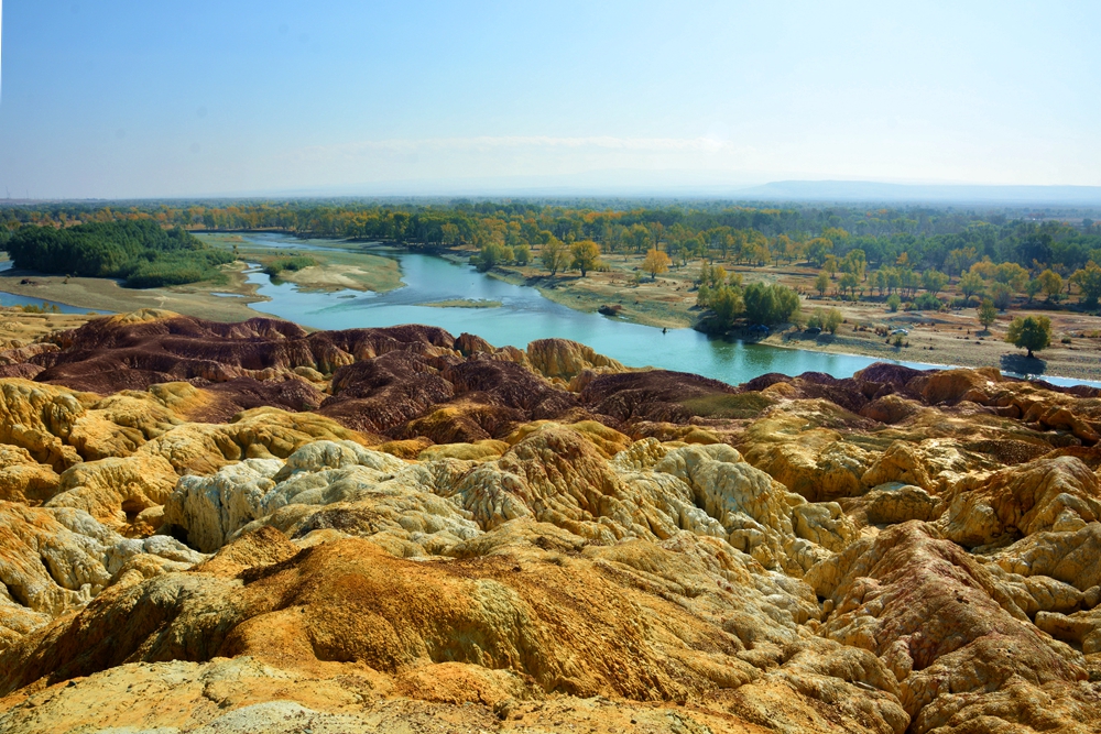 ��ľ���̲ 1427_����.jpg