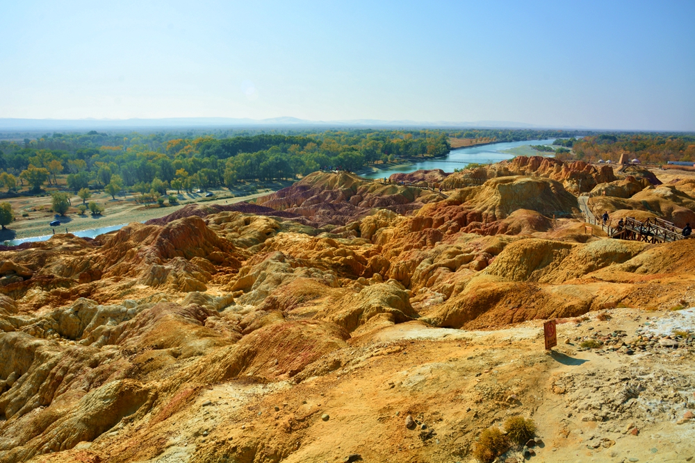 ��ľ���̲ 1428_����.jpg